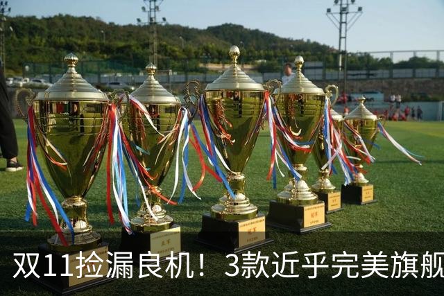 双11捡漏良机！3款近乎完美旗舰，国补降价性价比拉满