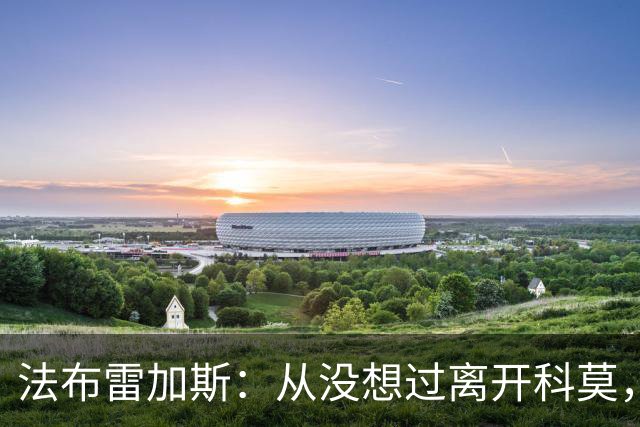 法布雷加斯：从没想过离开科莫，一想这事可能就到头了
